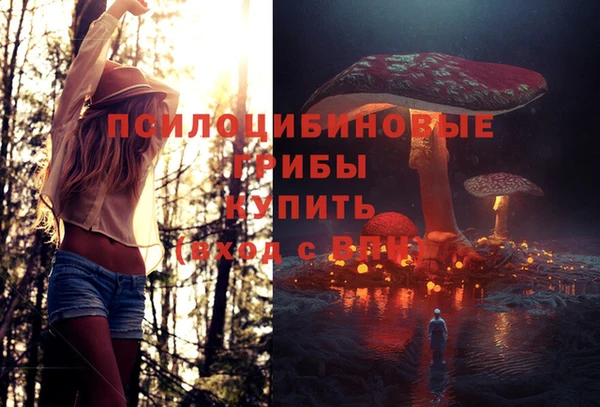 метамфетамин Няндома