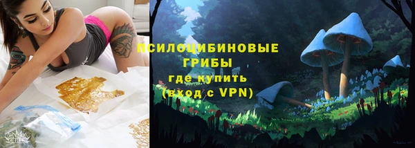 герыч Новодвинск
