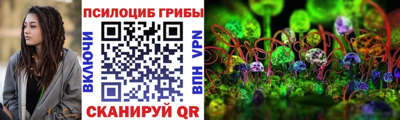 Галлюциногенные грибы Cubensis  гидра как войти  Сибай 